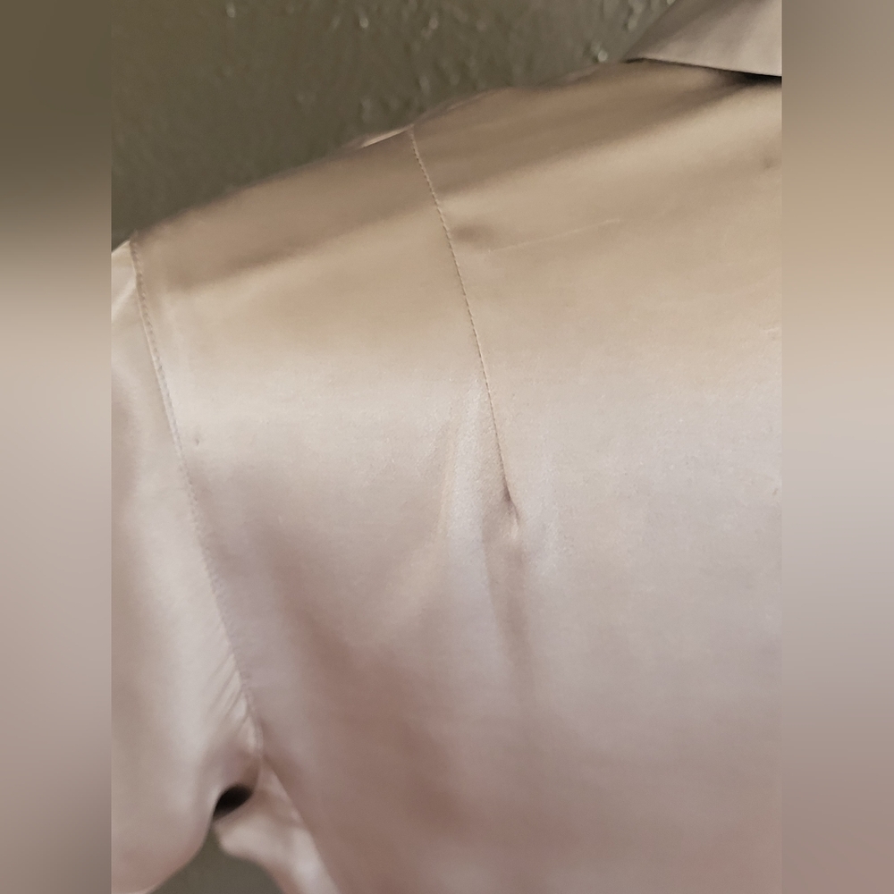 J. Crew Silver Silk Short-Sleeve Button-Down Blouse - Picture 4 of 11